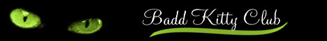 The Badd Kitty Club 